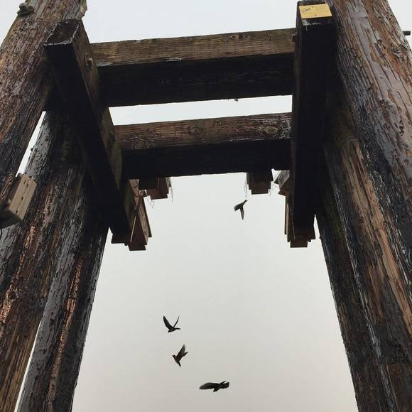 Meet your Posher, Dani.ryan - Picture 1 of 1